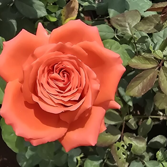 20250301_125957 20250301_125957