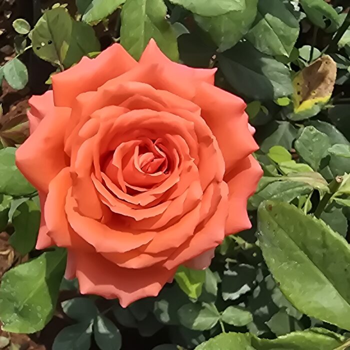 20250301_130001 20250301_130001