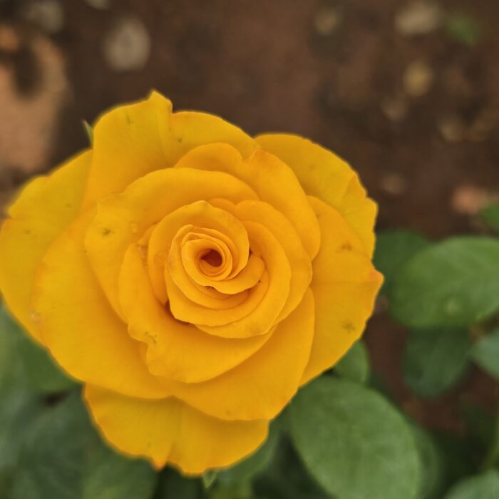 20250301_130212 20250301_130212