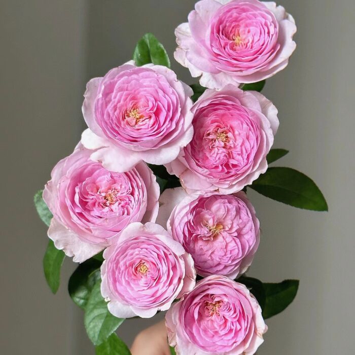 1001318663 1001318663