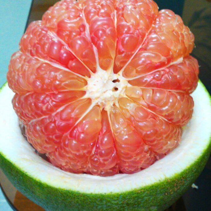 U0c86c3136a4749bc877bcc7bafc4f99be U0c86c3136a4749bc877bcc7bafc4f99be