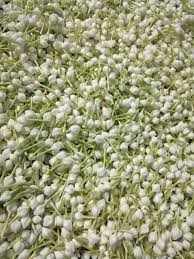 images (1) images (1)