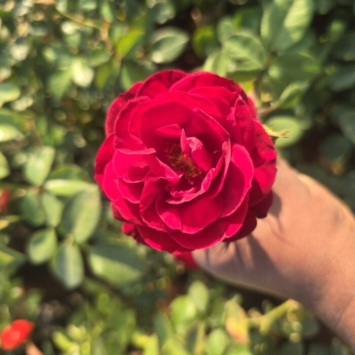 1001399319 1001399319