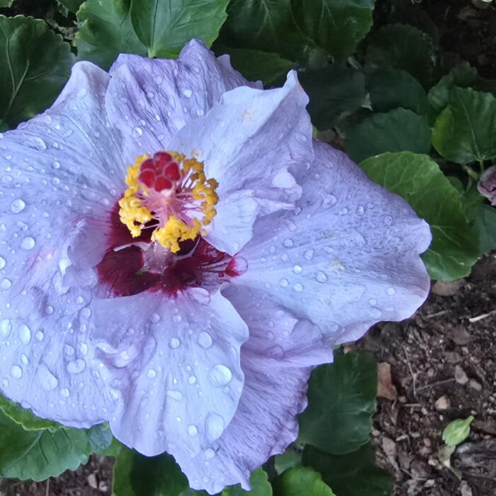 20251105_174619 20251105_174619