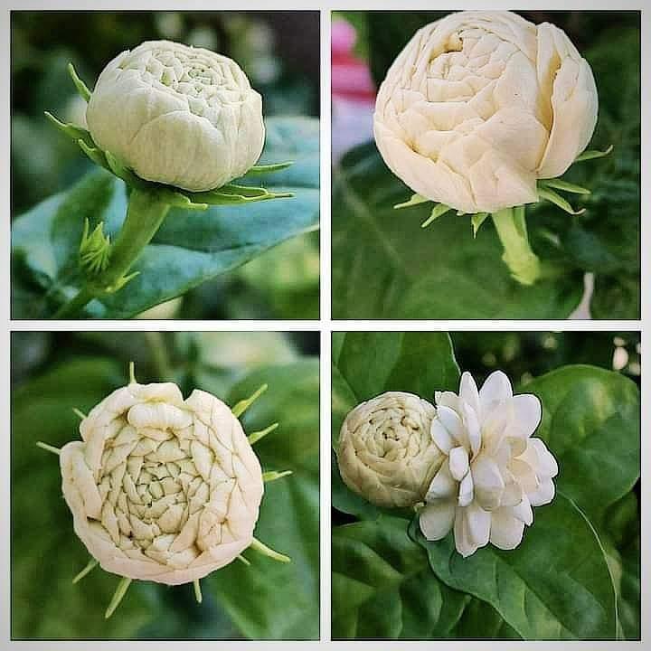 FB_IMG_1698371903331 (1) FB_IMG_1698371903331 (1)