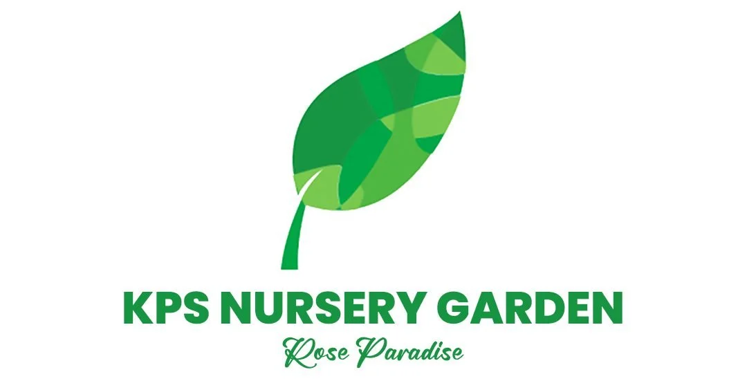 KPS Nursery Garden
