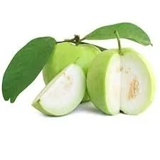 L-49 GUAVA