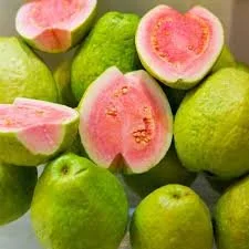 ARKA KIRAN GUAVA