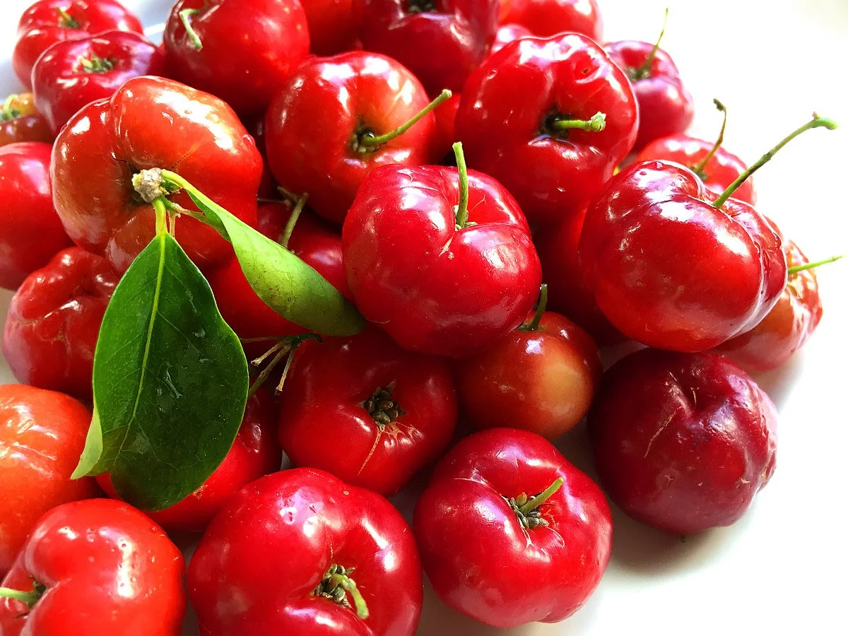 SWEET OOTY CHERRY