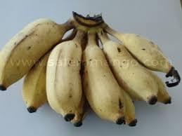 download (10) download (10)